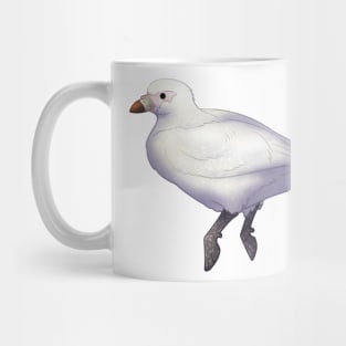 Cozy Sheathbill Mug